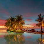 pexels-asadphoto-23696826