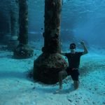 pexels-domingo-dias-260502921-12626788